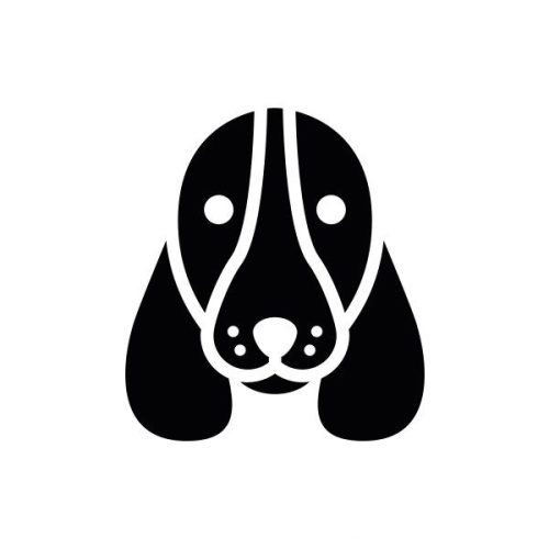 Basset hound matrica 2