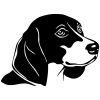 Beagle matrica 0