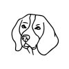 Beagle matrica 4