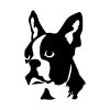 Boston terrier matrica 7