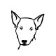 Bullterrier matrica 3