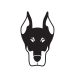 Dobermann matrica 8