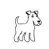 Foxterrier matrica 5