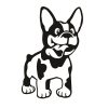 Francia bulldog matrica 9