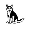 Husky matrica 1