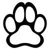 Jack russel terrier matrica 5