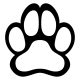 Jack russel terrier matrica 5