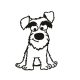 Schnauzer matrica 0