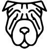 Shar pei matrica 3