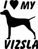 Vizsla matrica 12
