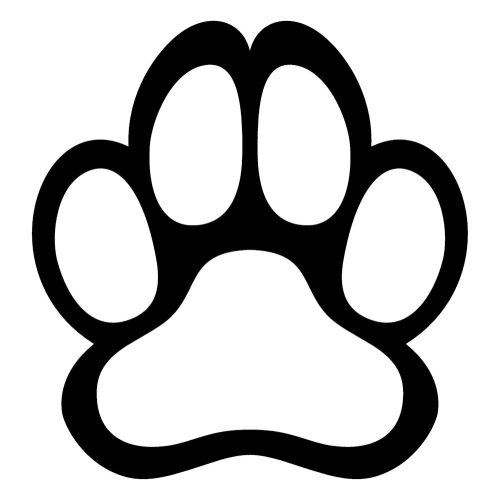 Vizsla matrica 13