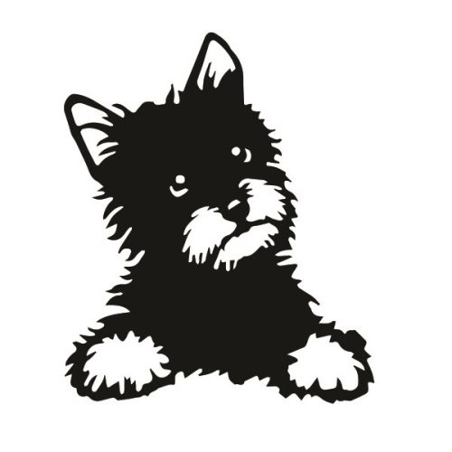 Yorki matrica 1