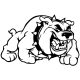 Angol bulldog matrica 5