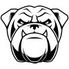 Angol bulldog matrica 9