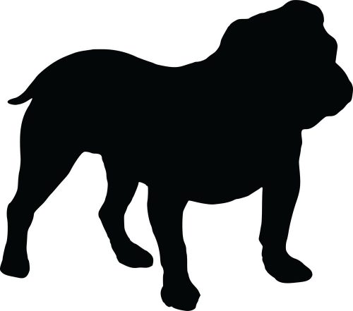 Angol bulldog matrica 22