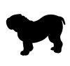 Angol bulldog matrica 25
