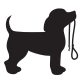Beagle matrica 14