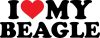 Beagle matrica 17