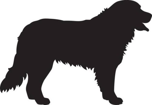 Berni pásztor matrica 8