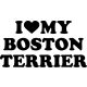 Boston terrier matrica 15