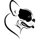 Boston terrier matrica 16