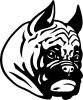 Boxer matrica 12