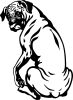 Boxer matrica 13