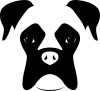 Boxer matrica 14