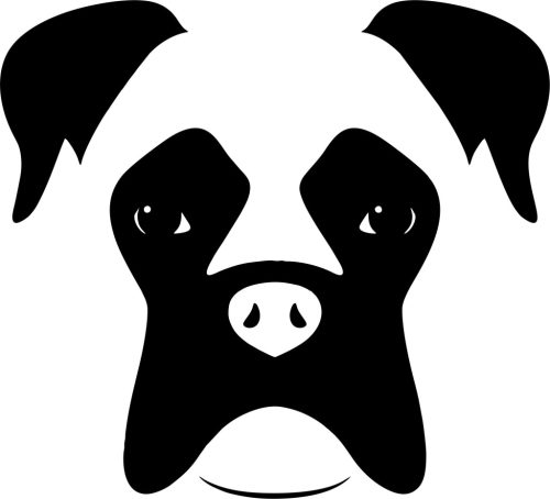 Boxer matrica 14