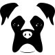 Boxer matrica 14