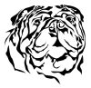Bulldog matrica 19