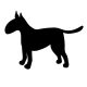 Bullterrier matrica 11