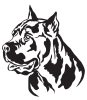 Cane corso matrica 9