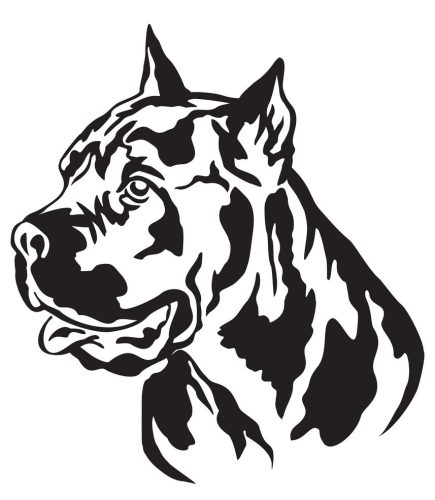 Cane corso matrica 9
