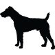 Foxterrier matrica 8