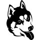 Husky matrica 13