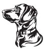 Labrador matrica 16