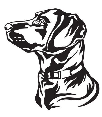 Labrador matrica 16