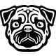 Mopsz matrica 21