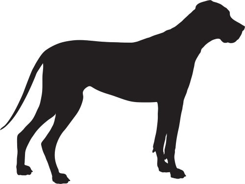 Német dog matrica 8