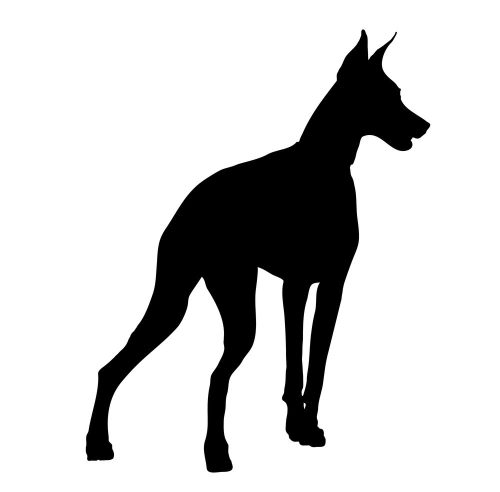 Pincser matrica 8