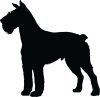 Schnauzer matrica 5