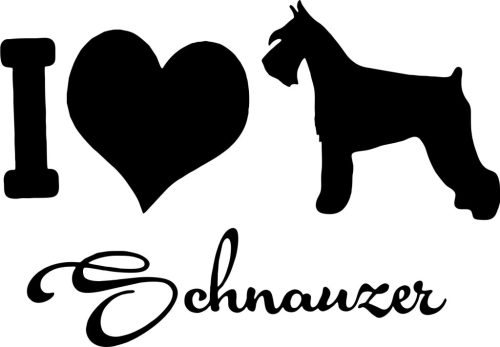 Schnauzer matrica 9