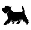 Westie matrica 4