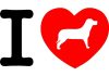 I Love kutya matrica