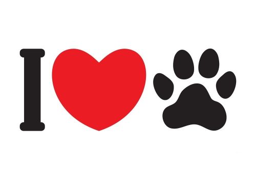 I love kutya matrica 2