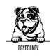 Egyedi Angol bulldog matrica