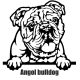 Angol bulldog matrica 30 cm