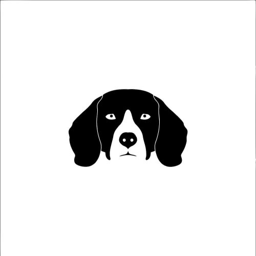 Beagle matrica 19