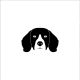 Beagle matrica 19